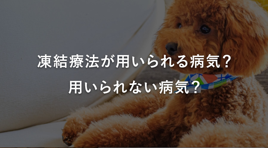 凍結療法が用いられる病気？用いられない病気？