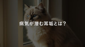 病気が潜む耳垢とは？