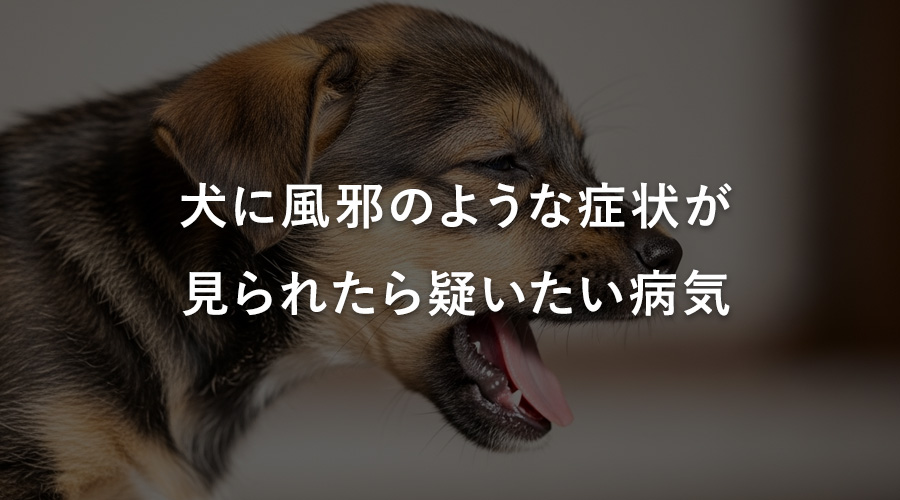 犬に風邪のような症状が見られたら疑いたい病気