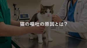 猫の嘔吐の原因とは？