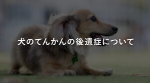 犬のてんかんの後遺症について