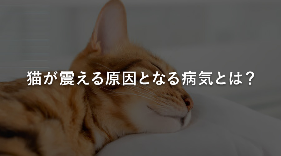 猫が震える原因となる病気とは？